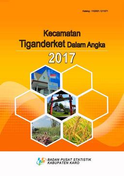 Tiganderket Subdistrict In Figures 2017