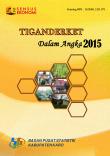 Tiganderket Dalam Angka 2015